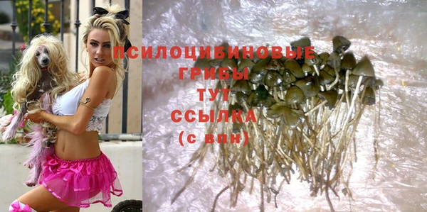 бутират Баксан